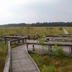 store_mosse_nationalpark_17