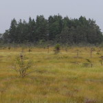 store_mosse_nationalpark_19