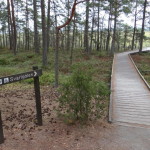 store_mosse_nationalpark_21