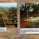 store_mosse_nationalpark_22