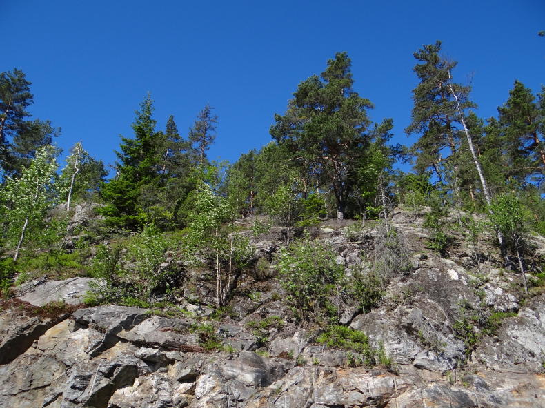 Tresticklan Nationalpark