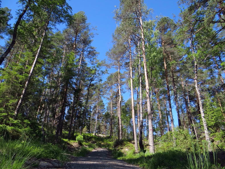 Tresticklan Nationalpark