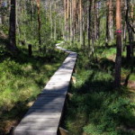 tresticklan_08