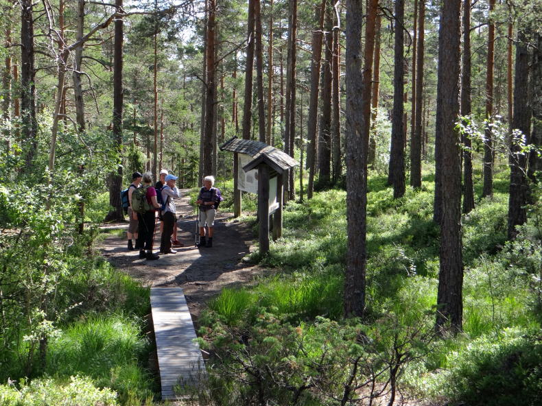 Tresticklan Nationalpark