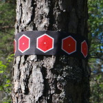 tresticklan_11