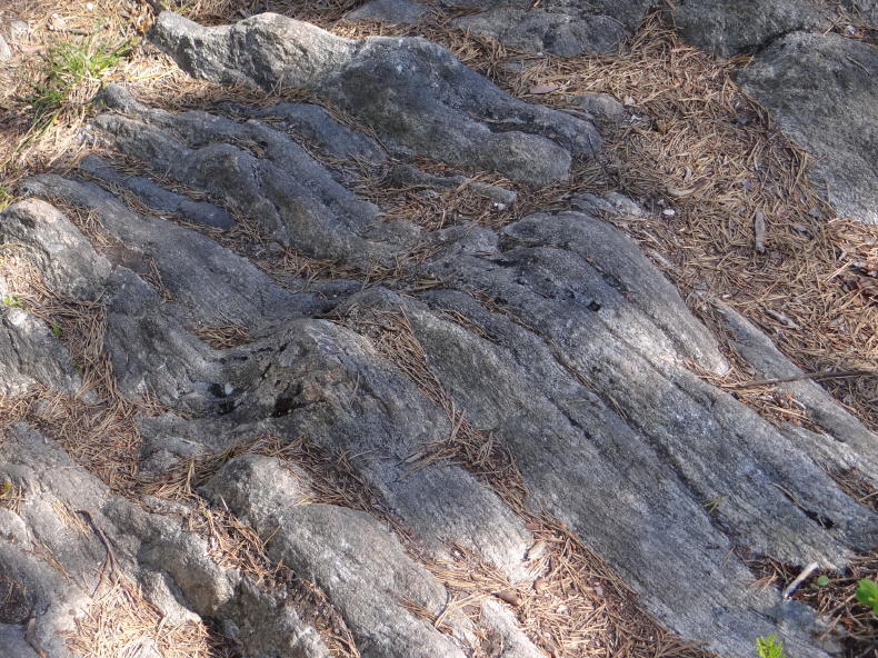 Tresticklan Nationalpark