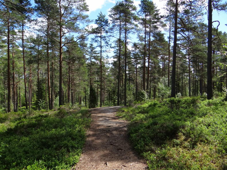 Tresticklan Nationalpark