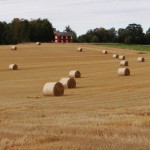 vaenern_bei_mellerud_01