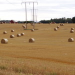 vaenern_bei_mellerud_02