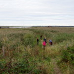 varberg_getteroen_01