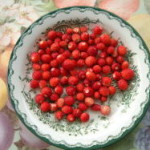 walderdbeeren_vaermland