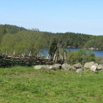 Aeskhults_by_4