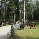 boras_tierpark_03