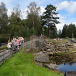 boras_tierpark_06