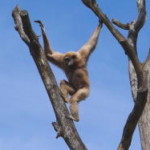 boras_tierpark_15