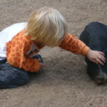 boras_tierpark_17