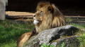 boras_tierpark_20_120