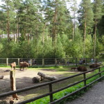 boras_tierpark_22