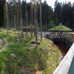 boras_tierpark_28