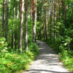 dalsland_02