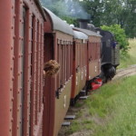 dampfzug_oesterlen_24