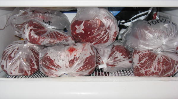 Elch in der Tiefkühltruhe