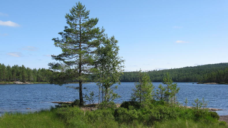 Glaskogens Naturreservat, Värmland