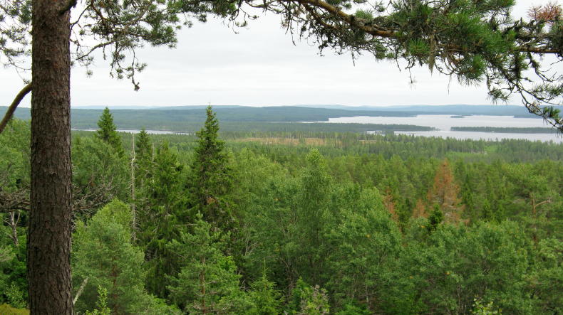 Glaskogens Naturreservat, Värmland