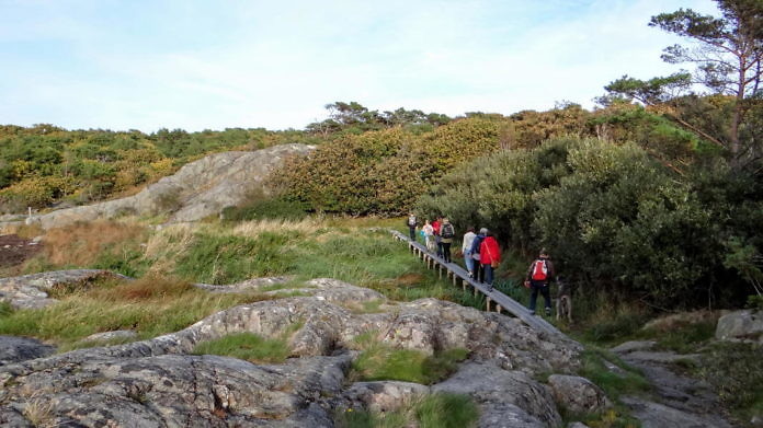 Naturschutzgebiet Särö Västerskog in Kungsbacka