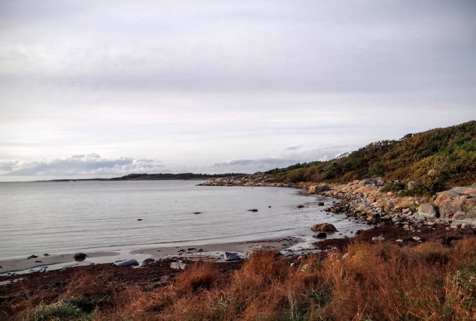 Naturschutzgebiet Särö Västerskog in Kungsbacka