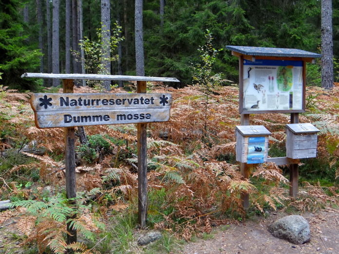 Naturreservat Dumme Mosse bei Jönköping