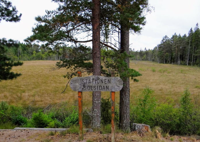 Naturreservat Dumme Mosse bei Jönköping