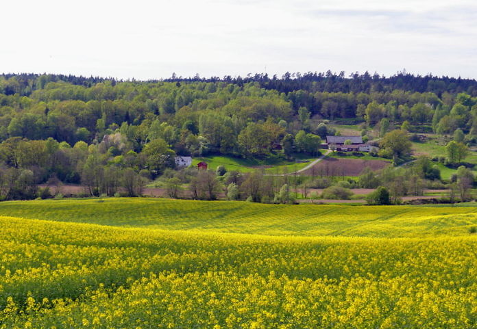 Sätila am Lygnernsee, östlich von Kungsbacka