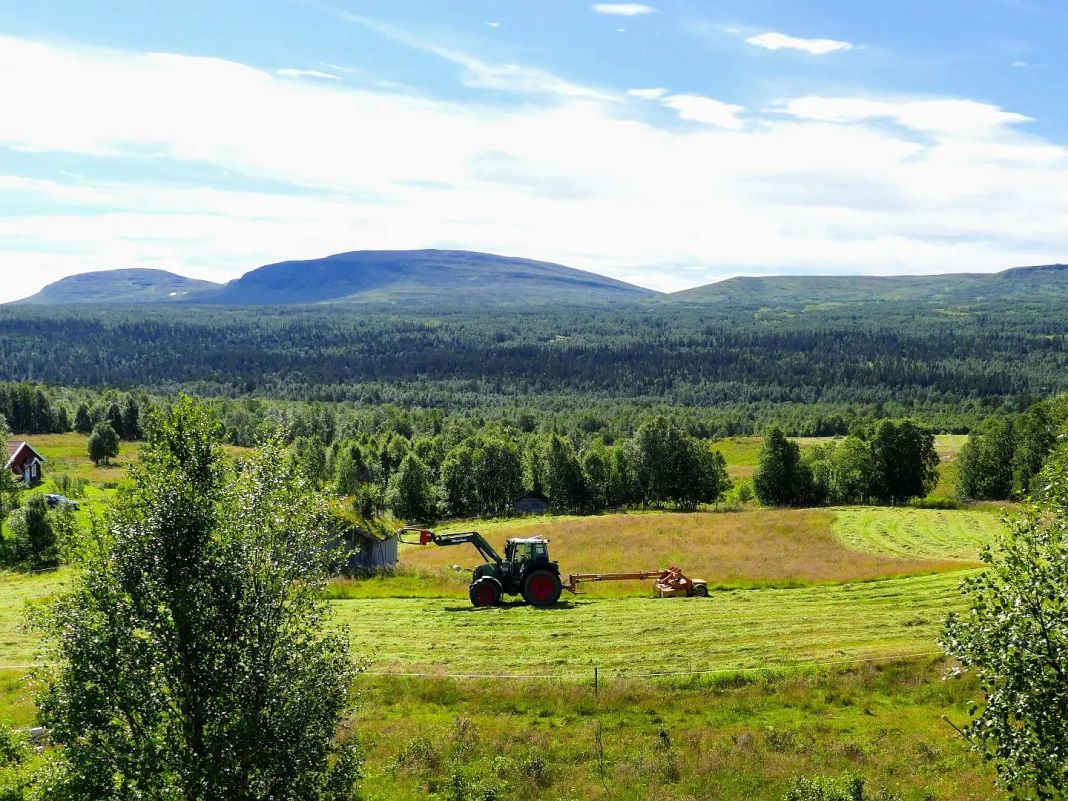 Bruksvallarna