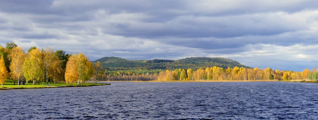 Buntes Herbstlaub in Nordschweden